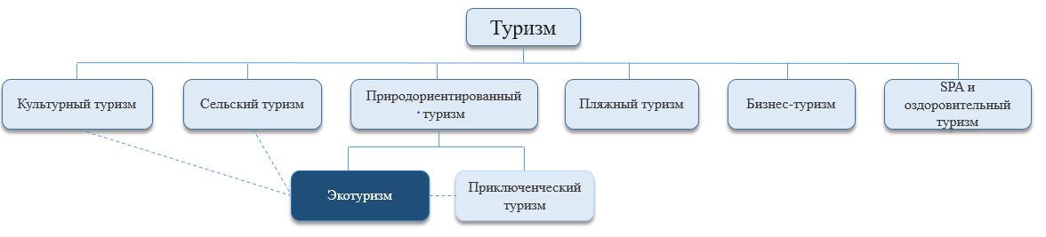 Классификация ООН. Какой туризм бывает.